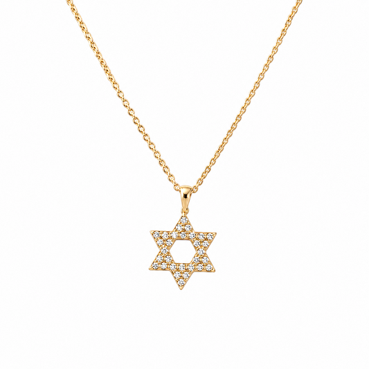 Gold Magen David Necklace with sparkling zirconia